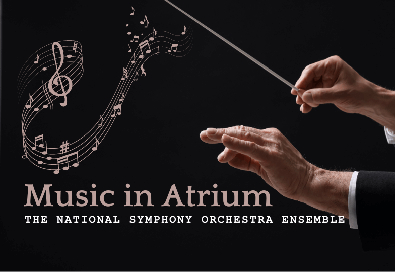 National Symphony Orchestra Ensemble
